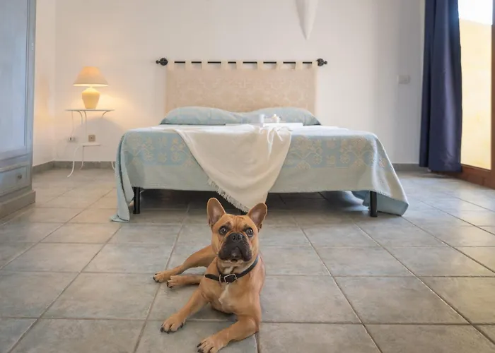 Daire Relaxing Residenzia 1 Bedroom B4 4 Person